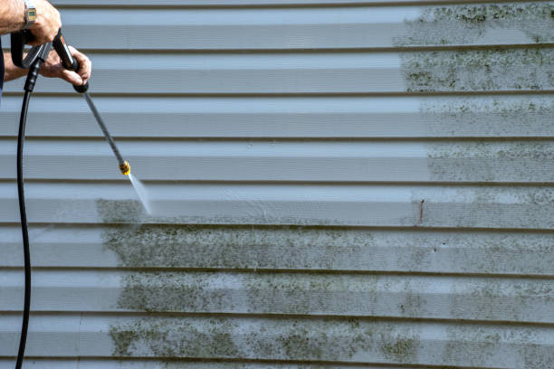 Best Yard Waste Removal  in Linden, MI
